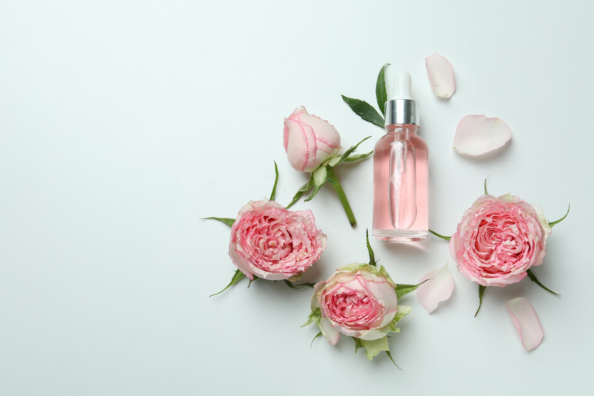 Skin Care Concept with Essential Rose Oil and Roses on White Bac